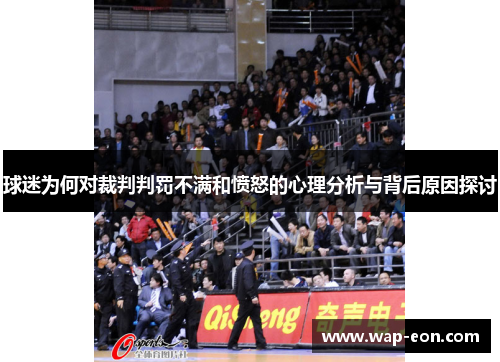 球迷为何对裁判判罚不满和愤怒的心理分析与背后原因探讨