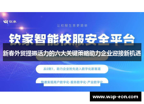 新春外贸提振活力的六大关键策略助力企业迎接新机遇