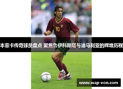 本菲卡传奇球员盘点 聚焦鲁伊科斯塔与迪马利亚的辉煌历程