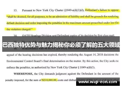 巴西独特优势与魅力揭秘你必须了解的五大领域
